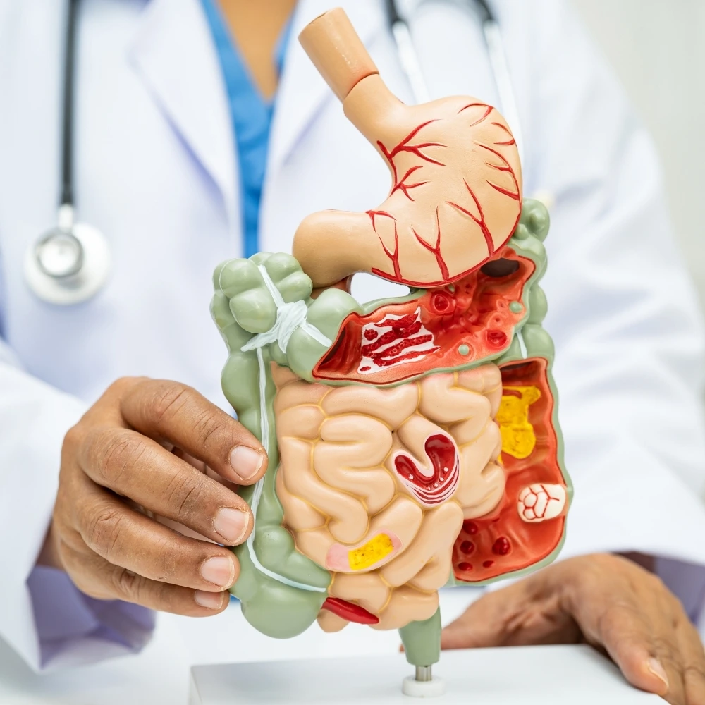 internal medicine in sharjah